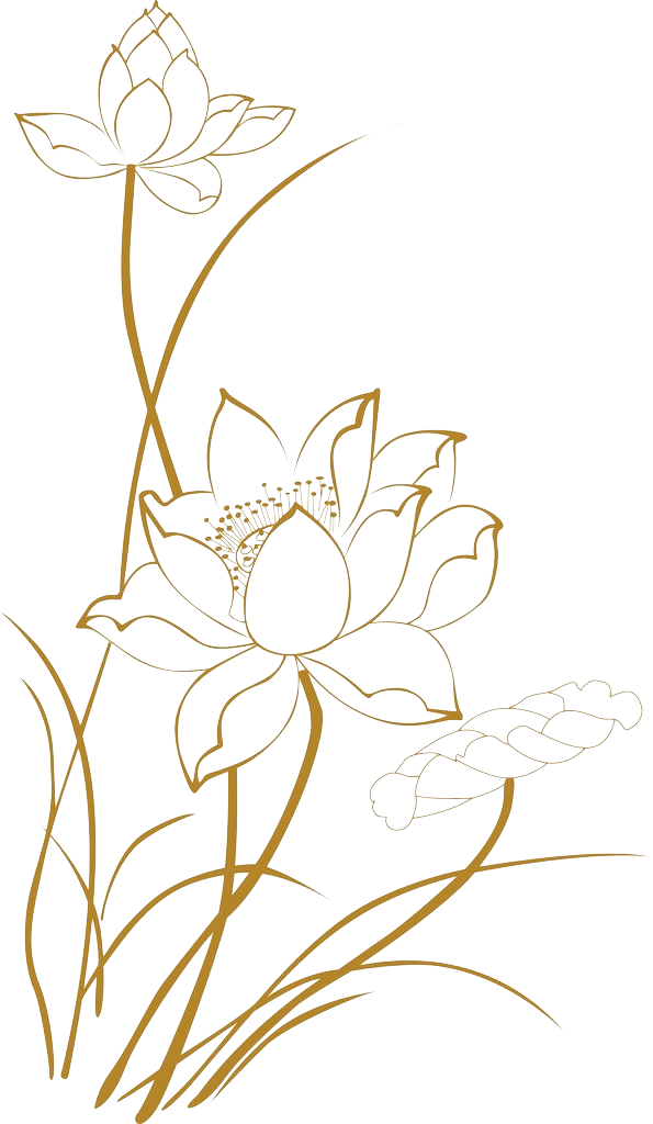 sen3